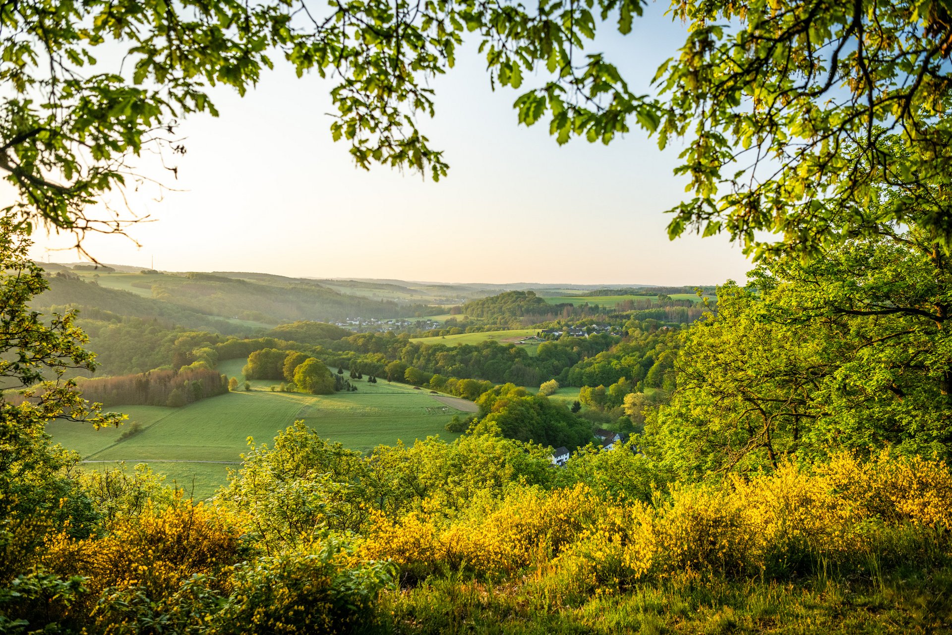 Westerwald Natur
